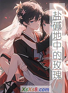 《盐碱地中的玫瑰》小说封面