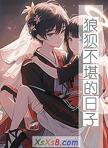 《狼狈不堪的日子》小说封面