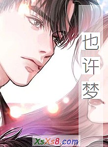 《也许梦》小说封面