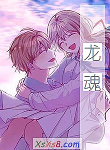 《龙魂》小说封面