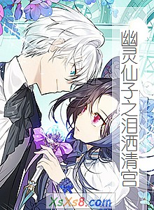《幽灵仙子之泪洒清宫》小说封面