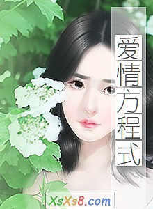 《爱情方程式》小说封面