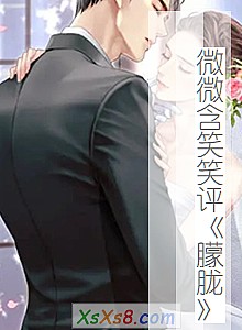 《微微含笑笑评朦胧》小说封面