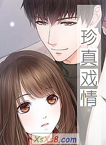 《珍真戏情》小说封面