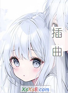 《插曲》小说封面