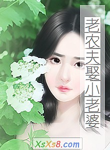 《老农夫娶小老婆》小说封面