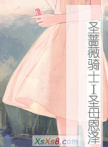 《圣蔷薇骑士Ⅰ圣母恩泽》小说封面