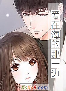 《爱在海的那一边》小说封面