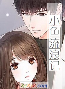 《小鱼流浪记》小说封面