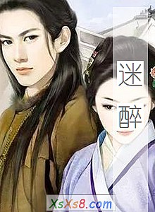 《迷醉》小说封面