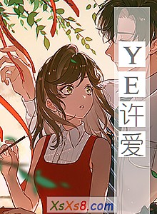 《YE许爱》小说封面