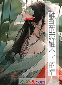《触到的恋触不了的情》小说封面