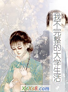 《我不完整的大学生活》小说封面
