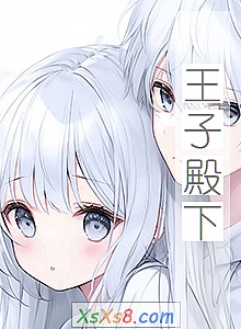 《王子殿下》小说封面