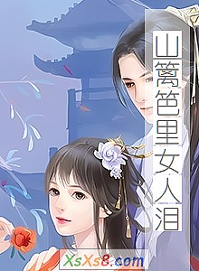《山篱笆里女人泪》小说封面
