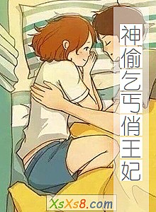 《神偷乞丐俏王妃》小说封面