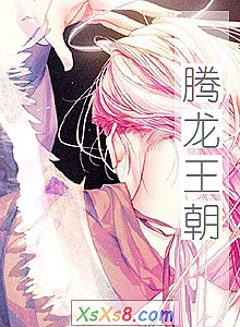 《腾龙王朝》小说封面