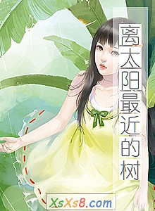 《离太阳最近的树》小说封面