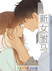 《新女驸马》小说封面