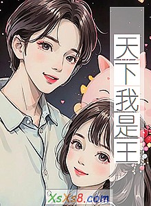 《天下我是王》小说封面