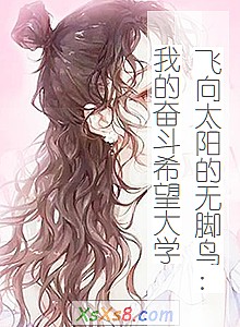 《飞向太阳的无脚鸟:我的奋斗希望大学》小说封面