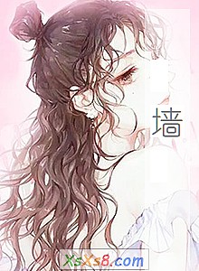 ��ǽ��С˵����