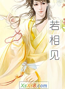 《若相见》小说封面