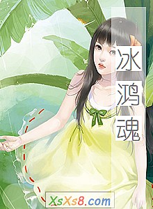 《冰鸿魂》小说封面