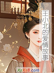 《王小北的爱情故事》小说封面