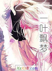 《一叶飘梦》小说封面