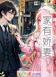 《家有娇妻》小说封面