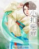 《小扣柴扉》小说封面