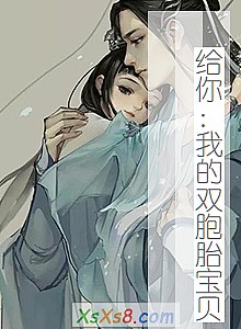 《给你:我的双胞胎宝贝》小说封面