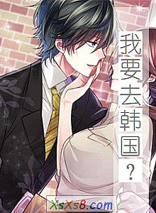 《我要去韩国?》小说封面
