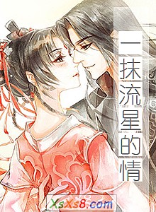 《一抹流星的情》小说封面