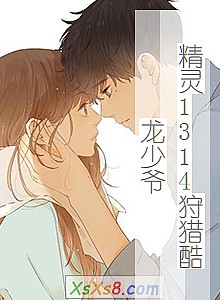 《精灵1314狩猎酷龙少爷》小说封面