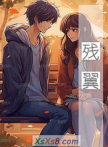 《残翼》小说封面