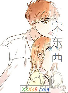 《宋东西》小说封面