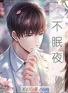 《不眠夜》小说封面