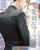 《爱栽在了这》小说封面