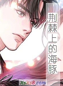 《荆棘上的海豚》小说封面