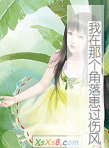 《我在那个角落患过伤风》小说封面