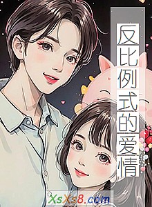 《反比例式的爱情》小说封面