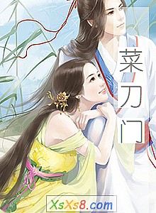 《菜刀门》小说封面