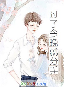 《过了今晚就分手》小说封面