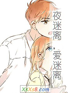 《夜迷离,爱迷离》小说封面