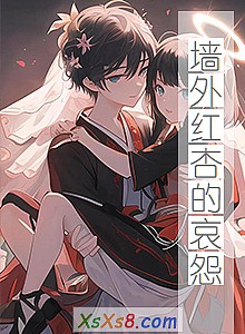 ��ǽ����ӵİ�Թ��С˵����