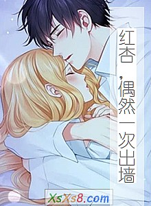 �����ӣ�żȻһ�γ�ǽ��С˵����