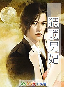 《猥琐男妃》小说封面