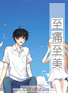 《至痛至美》小说封面